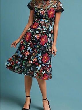 Anthropology Floral Embroidered Black Mesh Dress